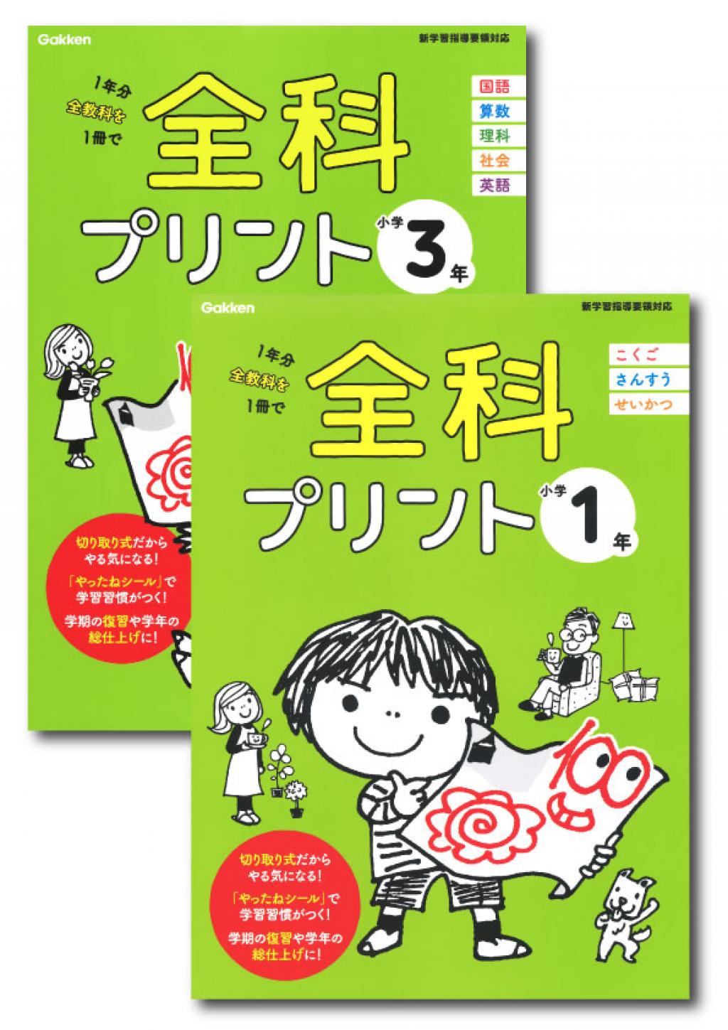 3年生 国語 小学校 カラーテスト 1年間分 - その他